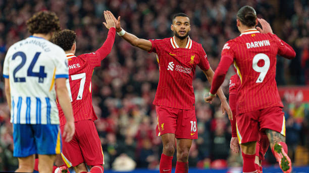 带来了全新 带来了全新